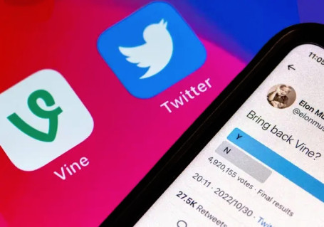 vine