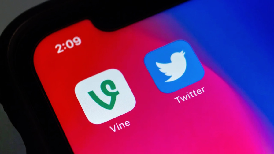 vine